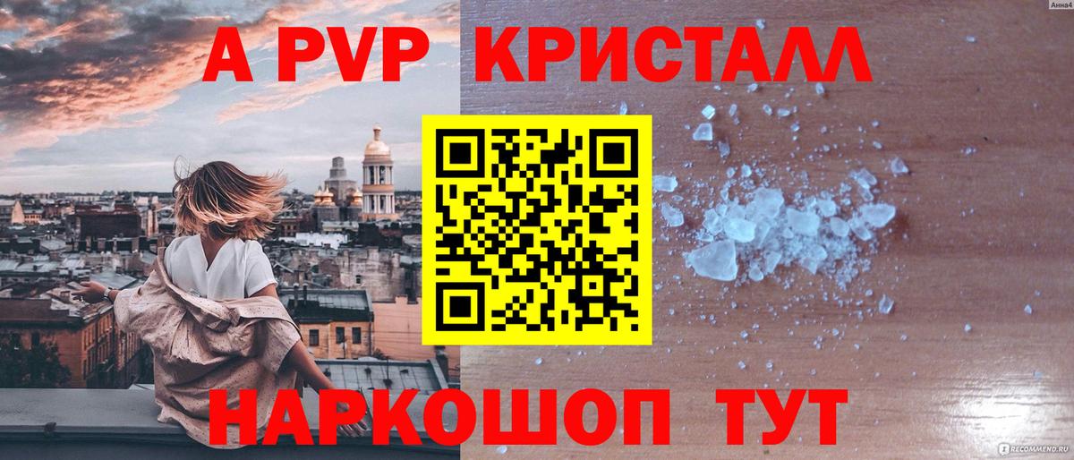 Альфа ПВП СК Гатчина