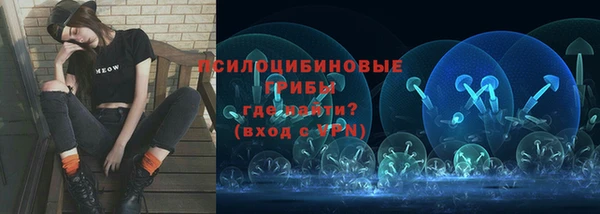 spice Балабаново
