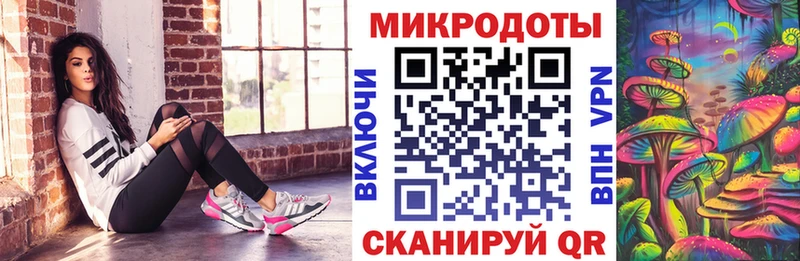 Псилоцибиновые грибы Psilocybe  хочу   Гатчина 