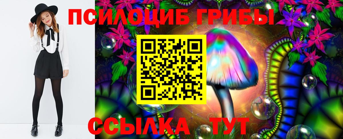 Галлюциногенные грибы GOLDEN TEACHER Гатчина