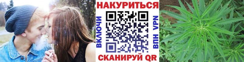 МАРИХУАНА White Widow  блэк спрут tor  Гатчина  где можно купить наркотик 